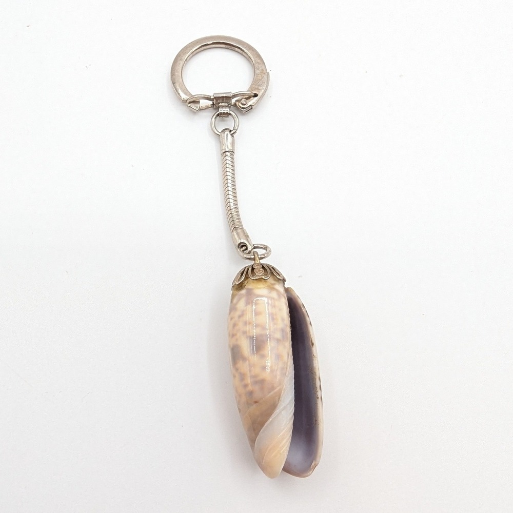 Vintage Natural Olive Sea Shell Keychain Silver Tone Snake Chain Souvenir Boho